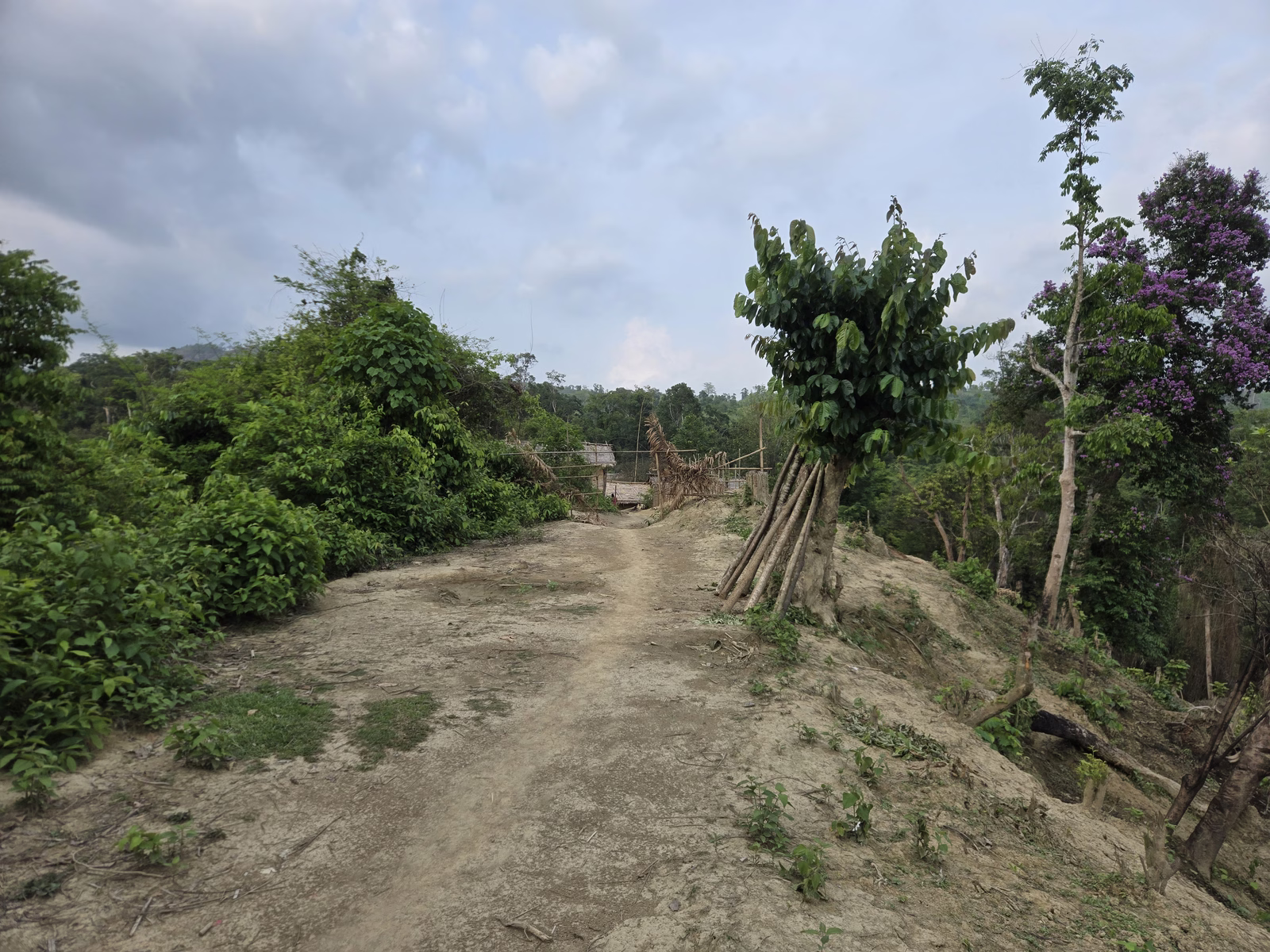 The entrance to Fatrapara, where nearly two dozen families lived, situated 1,483 metres from the Bangladesh-Myanmar border.